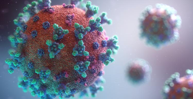 close-up image of the virus 